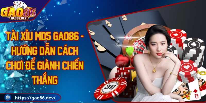 Tài xỉu MD5 GAO86 - Hướng dẫn cách chơi để giành chiến thắng